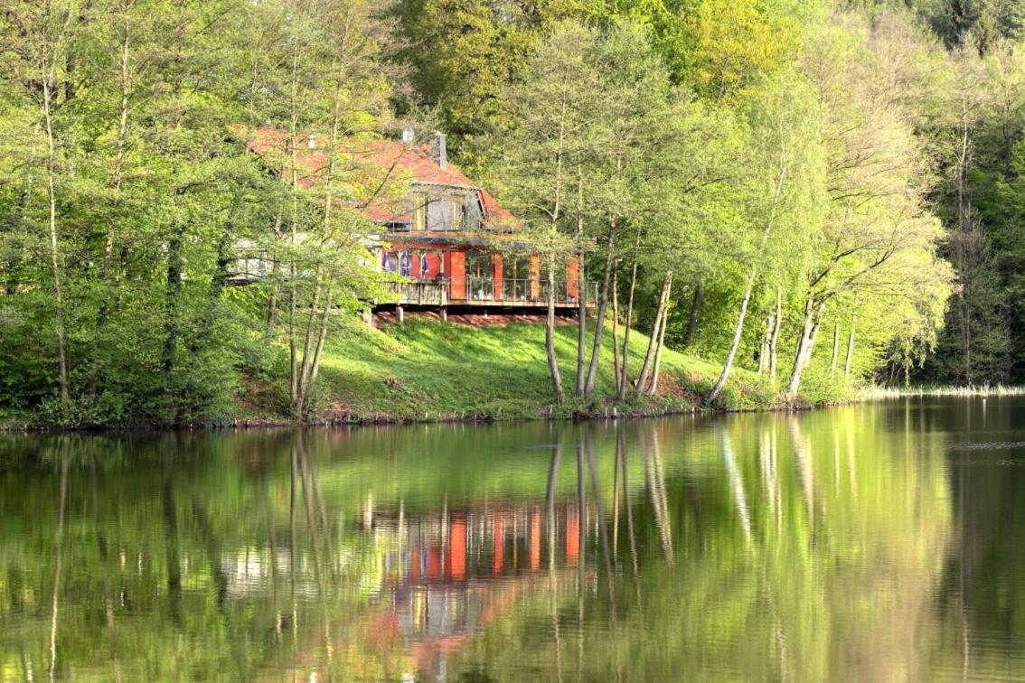 Ferienwohnungen & Campingfaesser Am Kunstteich Wettelrode Ruang foto